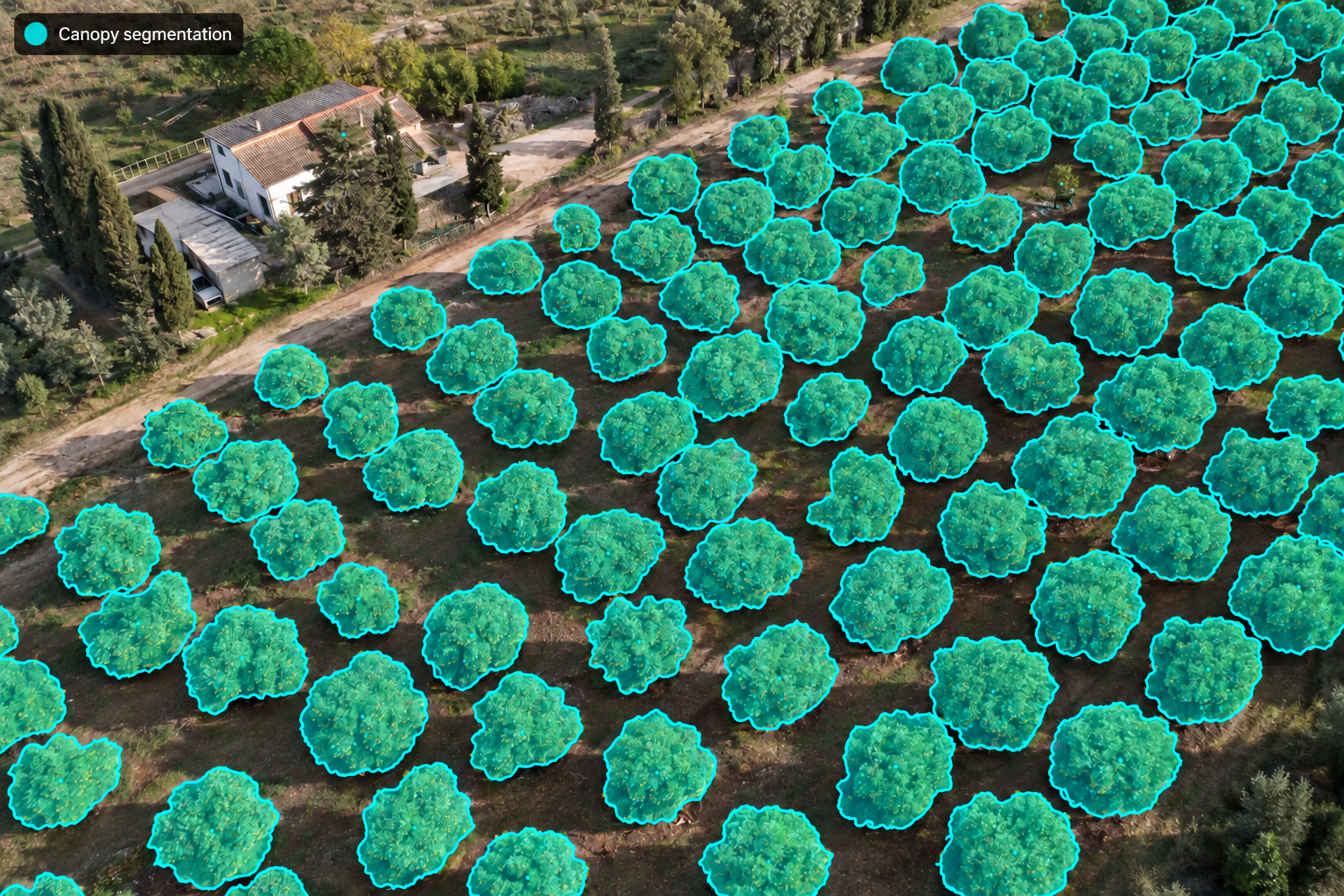 Canopy Phenotyping & Pre-Harvest Yield Forecasting