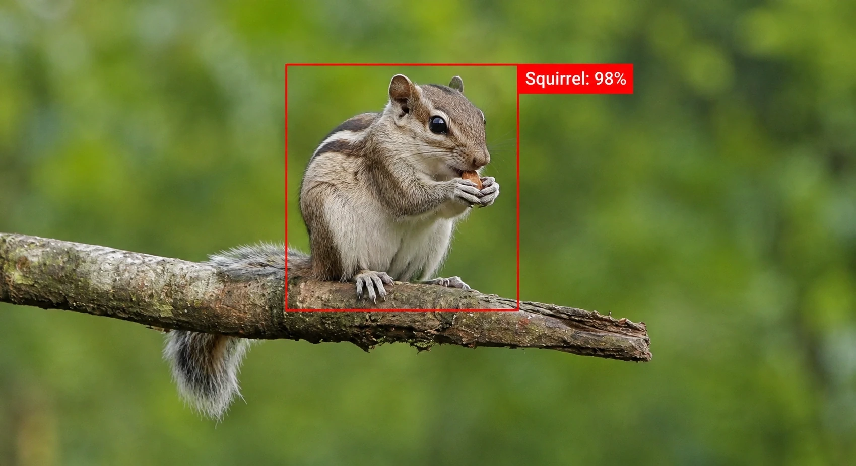 Object detection