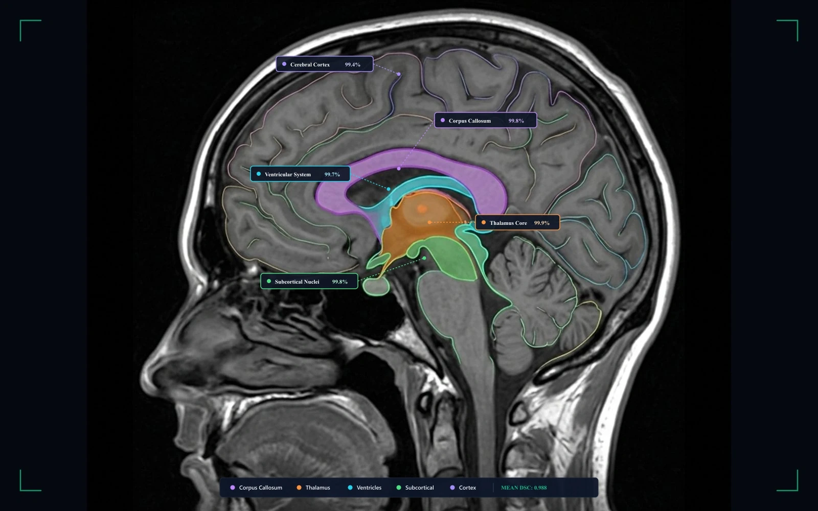 Medical annotation workflow